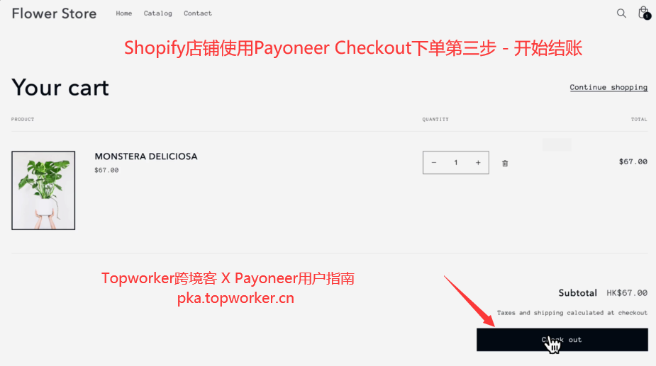 Shopify店铺使用Payoneer-Checkout下单第三步-开始结账